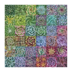 Galison Succulent Spectrum Jigsaw Puzzle 500 Pieces 20” x 20'' - NIB 🌵🌵🌵